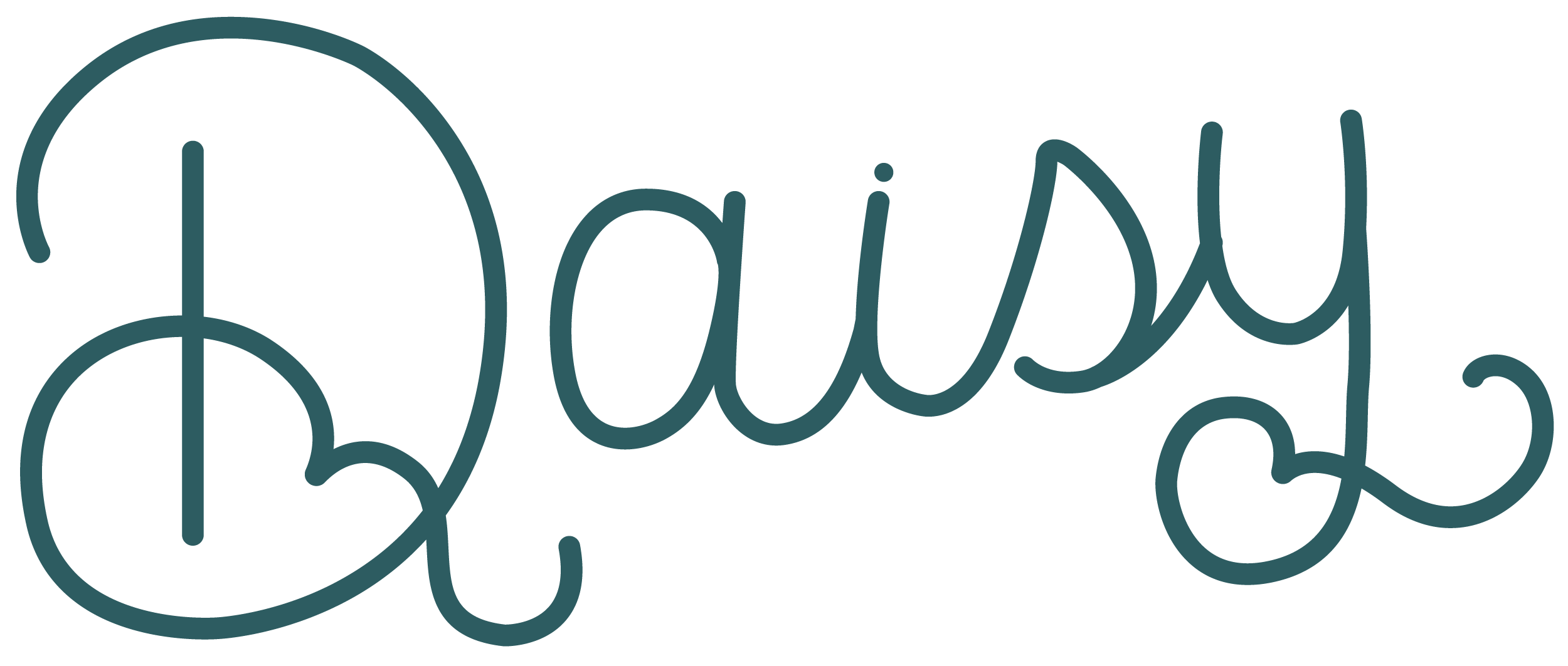 Daisy Market Co.